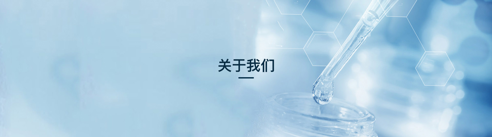 pc端公司简介banner