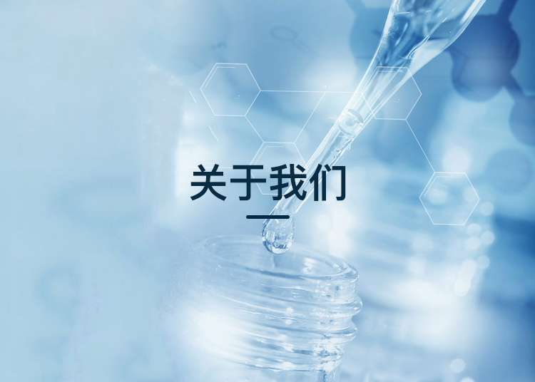 手机端公司简介banner